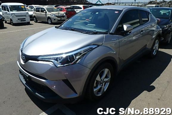 2017 Toyota C-HR Gray for sale | Stock No. 88929 | Japanese Used